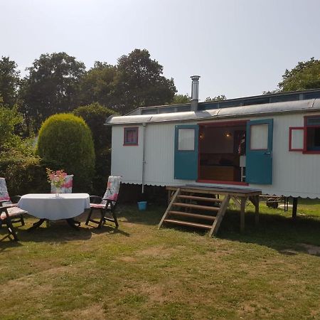 Vila Gezellig Pipowagen In Oostvoorne Exteriér fotografie